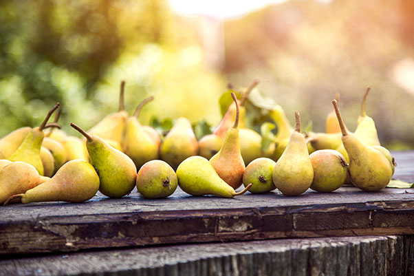 Pear midge control